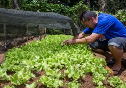 padre-leo-comunidade-bethania